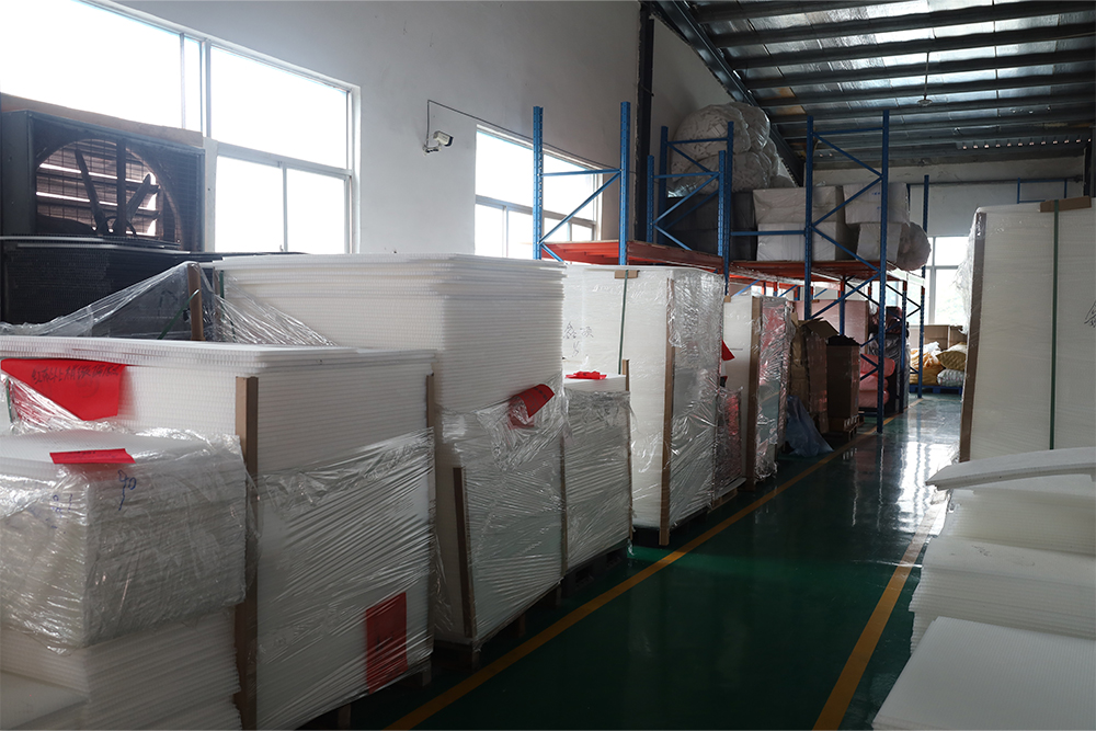 One Pickleball Paddle